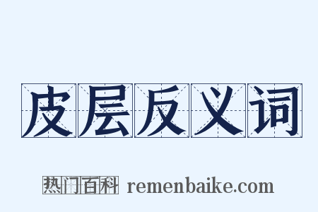 皮层反义词是什么意思的图片